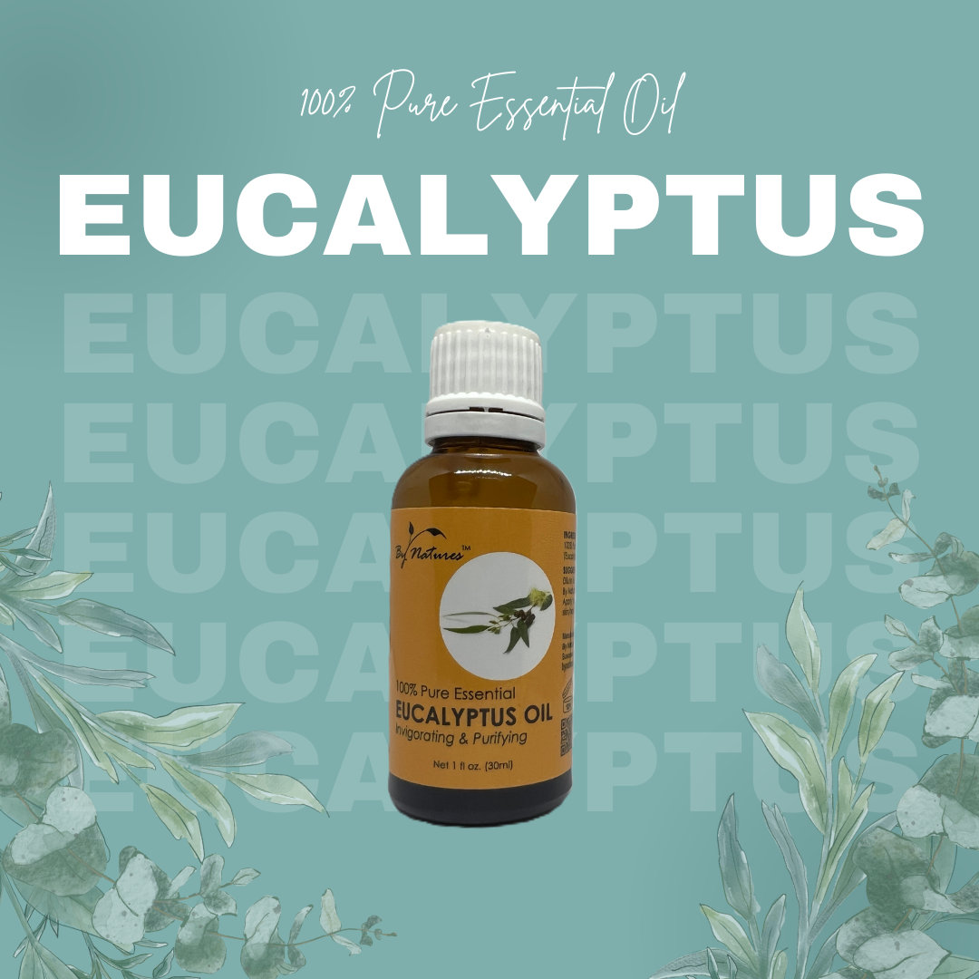 By Natures Aceite esencial de eucalipto 100% puro, 1 oz.